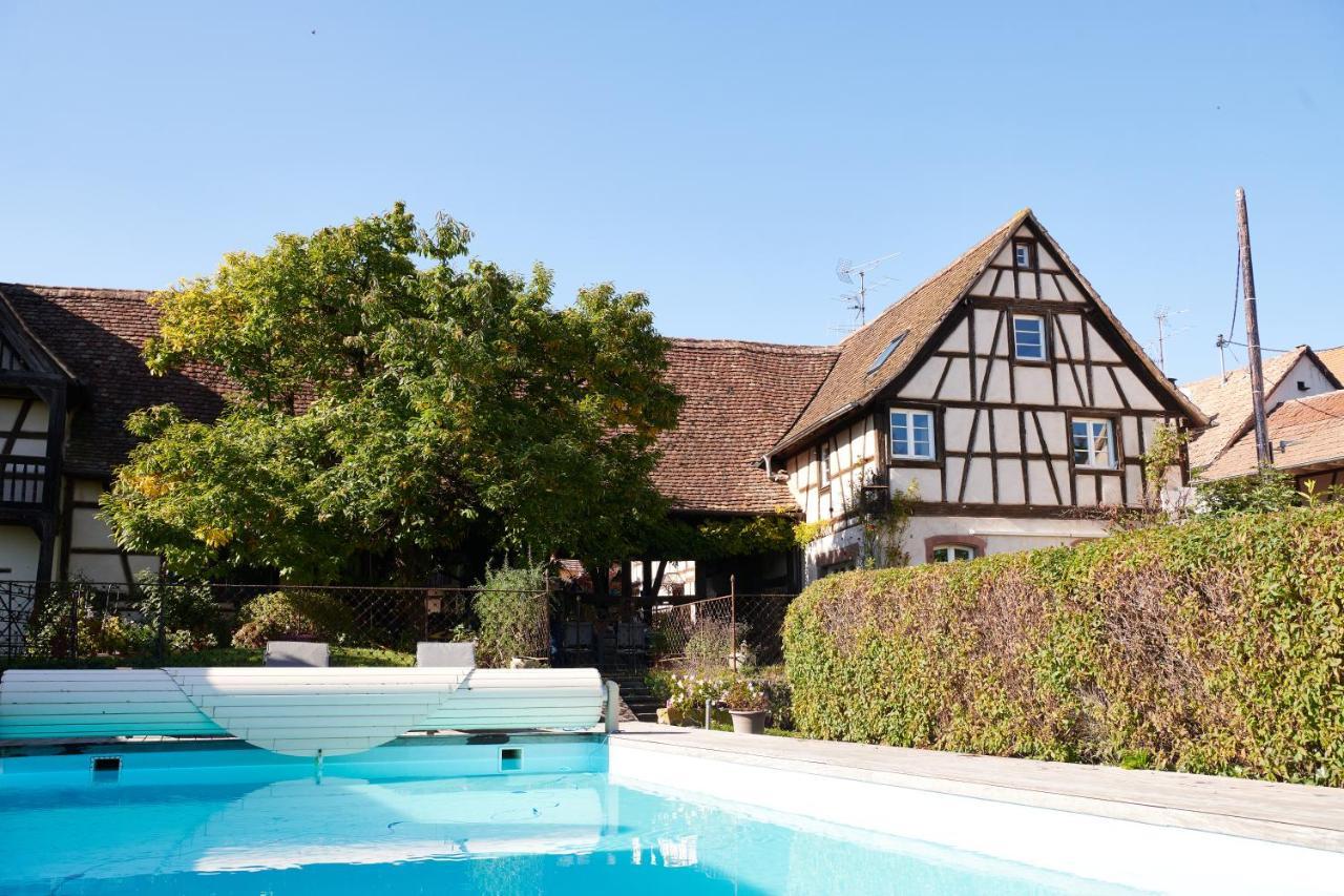La Cour De Lise Maison D'Hotes Et Spa Willgottheim Экстерьер фото