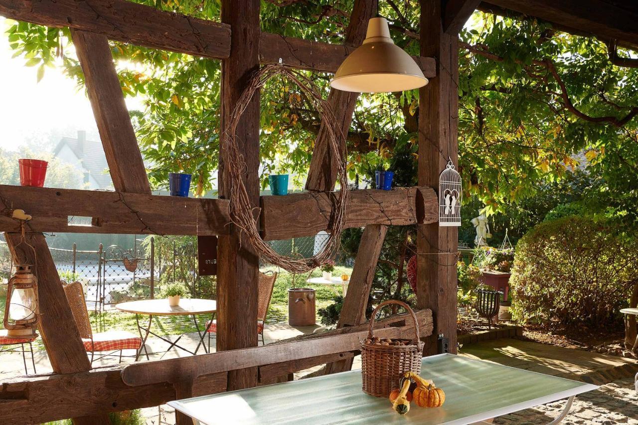 La Cour De Lise Maison D'Hotes Et Spa Willgottheim Экстерьер фото