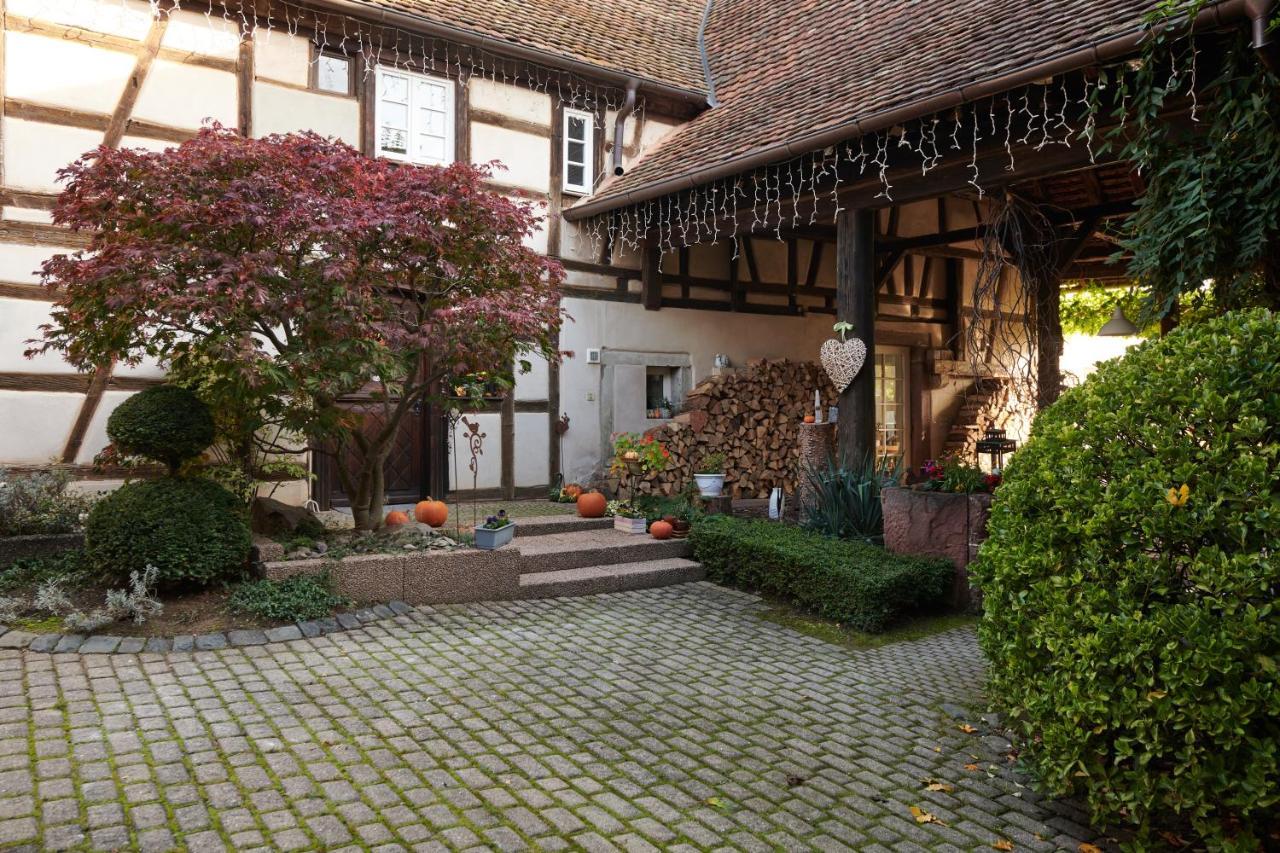 La Cour De Lise Maison D'Hotes Et Spa Willgottheim Экстерьер фото